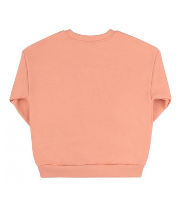 Дитячий світшот ДЖ307 (I00)