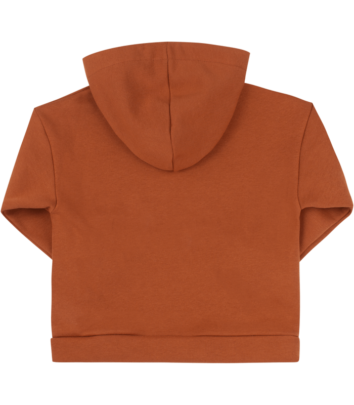 Дитяче худі ДЖ301 (H00)