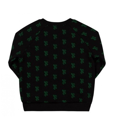 Дитячий світшот ДЖ302 (Y01)