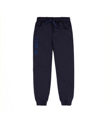 Детские штаны ШР755 (800)