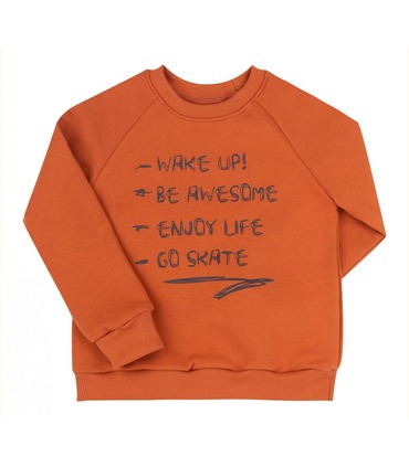 Дитячий світшот ДЖ302 (H00)