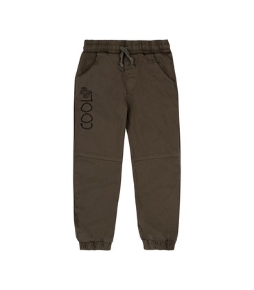 Дитячі штани ШР755 (V00)