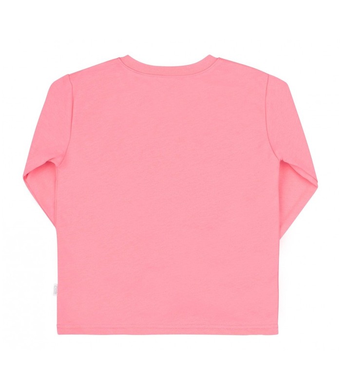 Детская байковая пижама ПЖ55 (381)