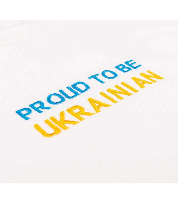 Універсальний патріотичний світшот ДЖ325 (206)