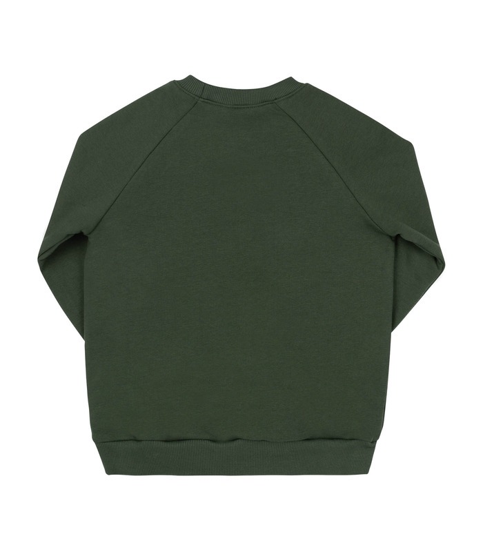 Дитячий світшот ДЖ302 (600)