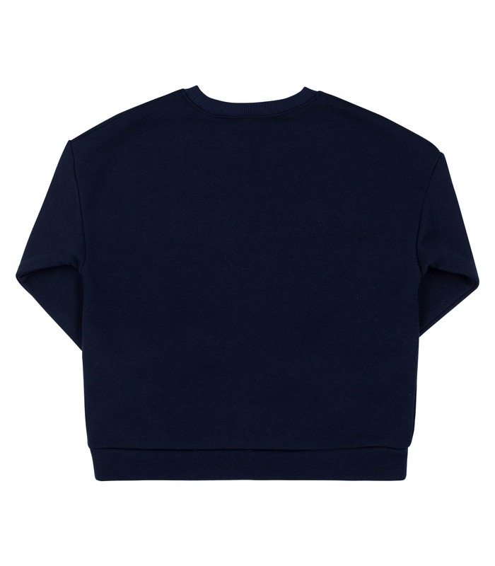 Універсальний патріотичний світшот ДЖ325 (805)