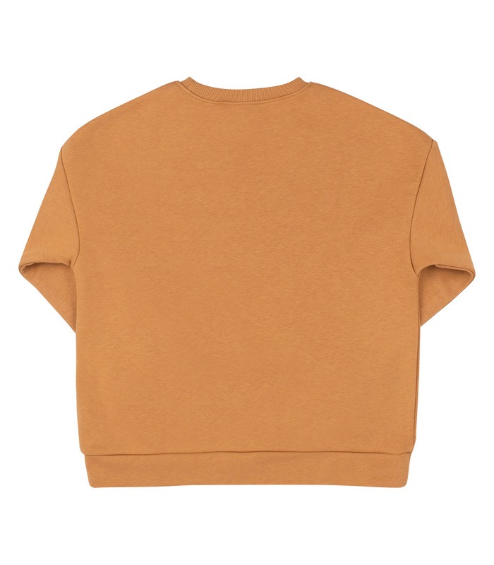 Універсальний патріотичний світшот ДЖ325 (G05)