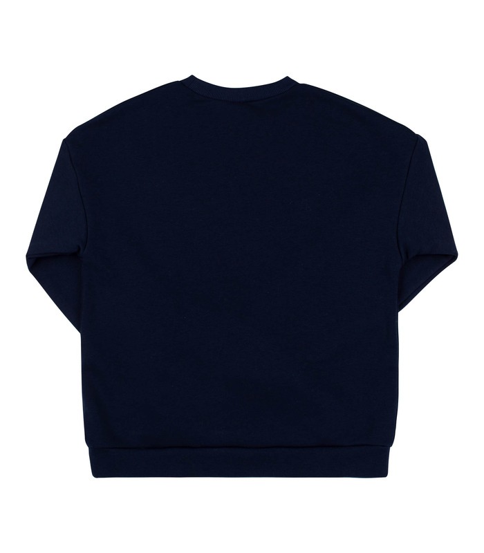 Универсальный патриотический свитшот ДЖ325 (806)