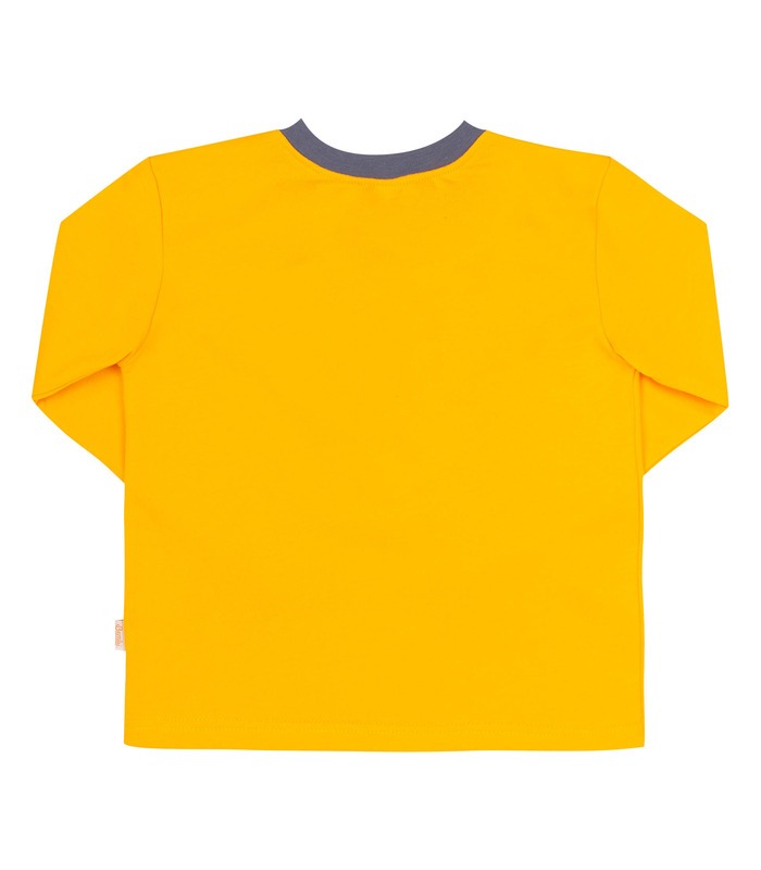 Детская байковая пижама ПЖ55 (5X1)