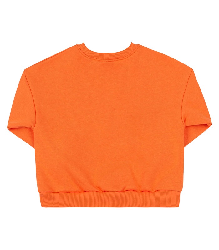 Дитячий джемпер ДЖ339 (D05)