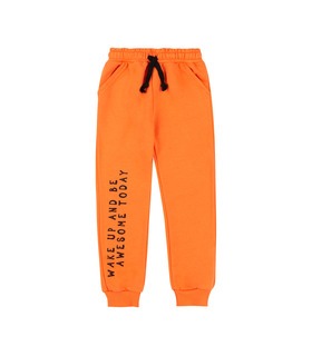 Детские штаны ШР806 (D05)