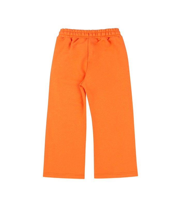 Детские штаны ШР807 (D05)