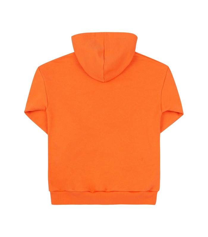 Детское худи ДЖ338 (D05)