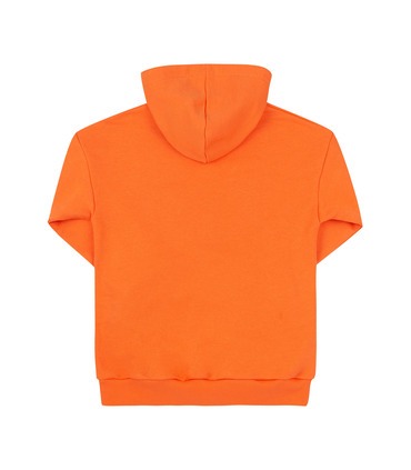 Дитяче худі ДЖ338 (D05)