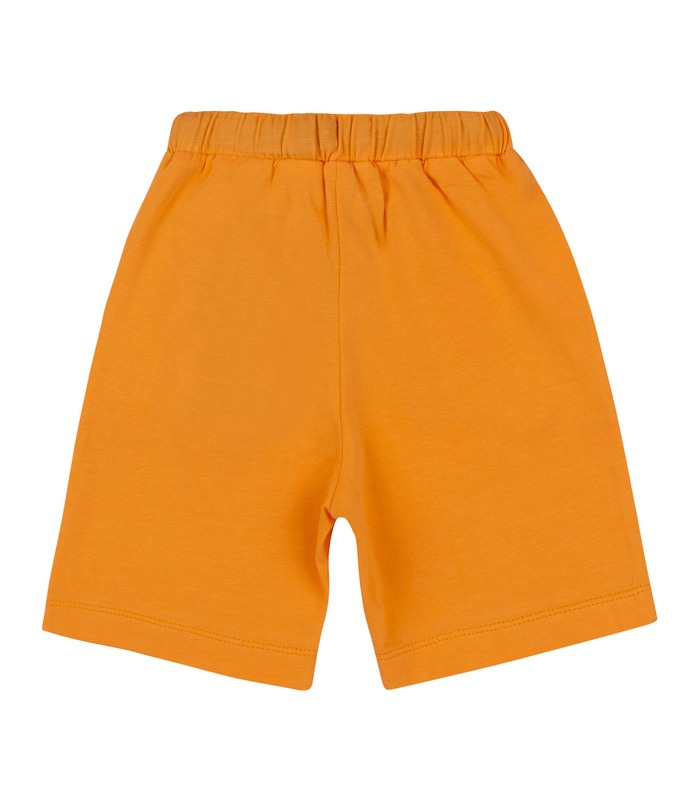 Дитячі шорти ШР783 (500)