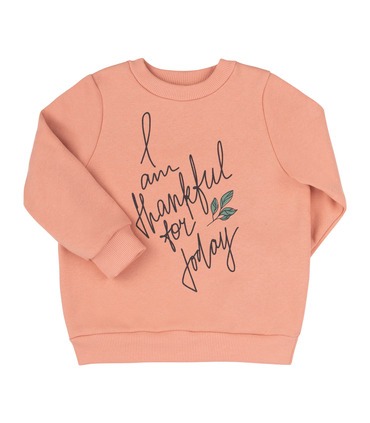 Детский свитшот ДЖ306 (I00)