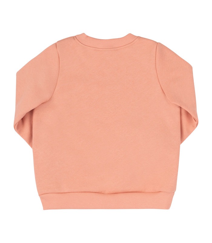 Детский свитшот ДЖ306 (I00)