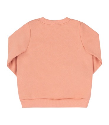 Дитячий світшот ДЖ306 (I00)