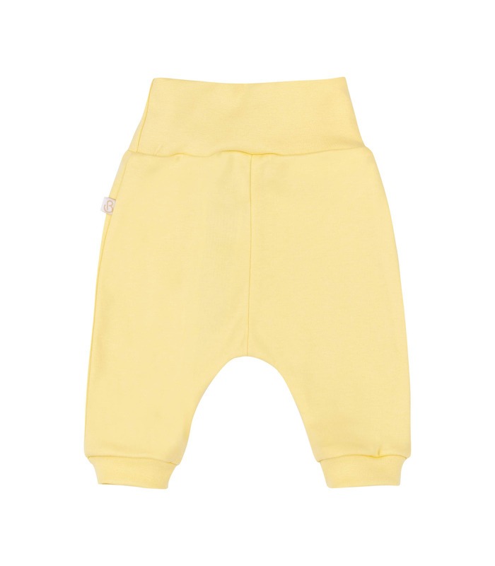 Дитячі штани ШР779 (500)