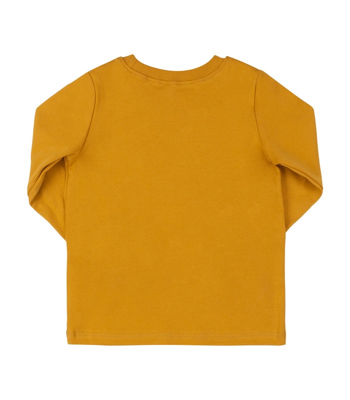 Дитячий джемпер ФБ955 (E00)