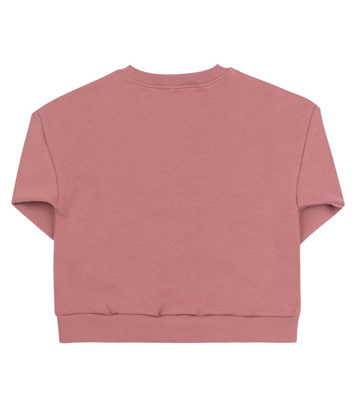 Детский джемпер ДЖ329 (H00) - коричневый детский джемпер с принтом от МамаТато