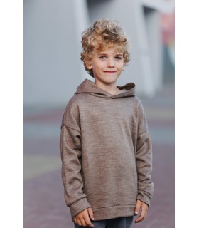 Детское худи ДЖ345 (H00) ➤ детская коричневая кофта с капюшоном от МамаТато