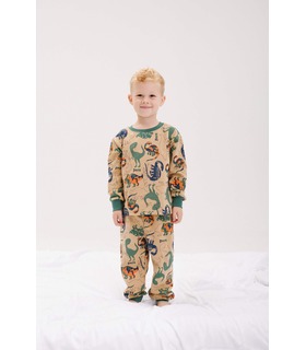 Детская байковая пижама ПЖ55 (ZZ1) - теплая детская пижама с динозаврами от МамаТато