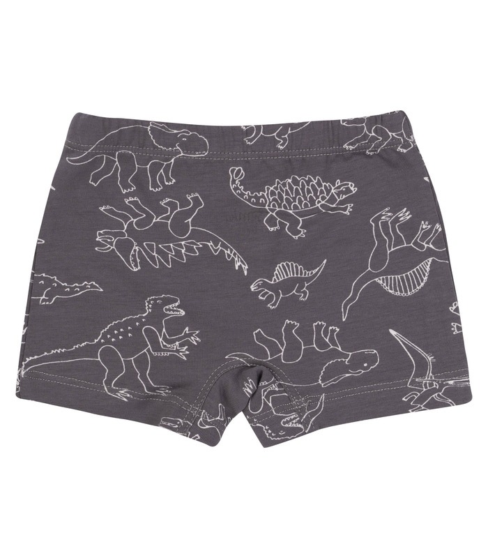 Детские трусы ТР47 (X11) - детские трусы с динозаврами от МамаТато