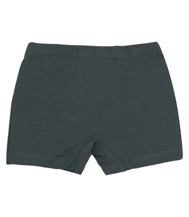 Набір трусиків дитячих (2шт.) НБ17 (Y01)