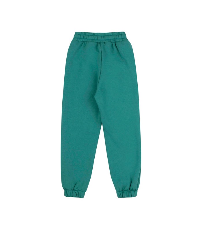 Детский костюм КС790 (600) - теплый зеленый детский костюм с принтом от МамаТато