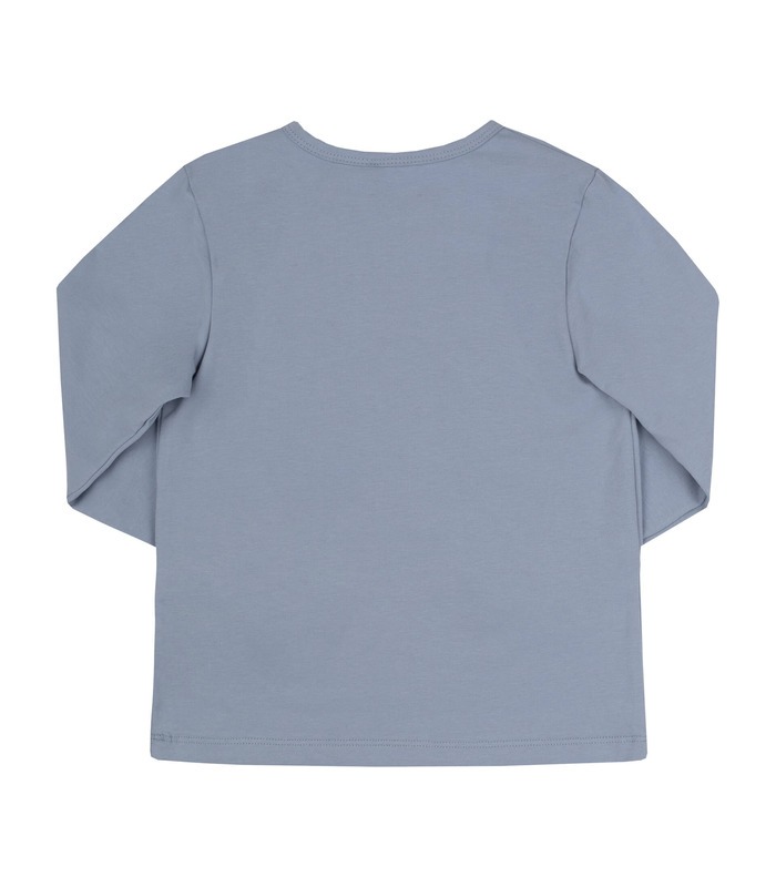 Детский джемпер ФТ10 супрем (400) - детская голубая кофта с принтом от МамаТато