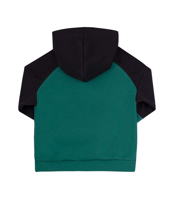 Дитяче худі ДЖ355 (6X0) - тепле дитяче худі хлопчику від МамаТато