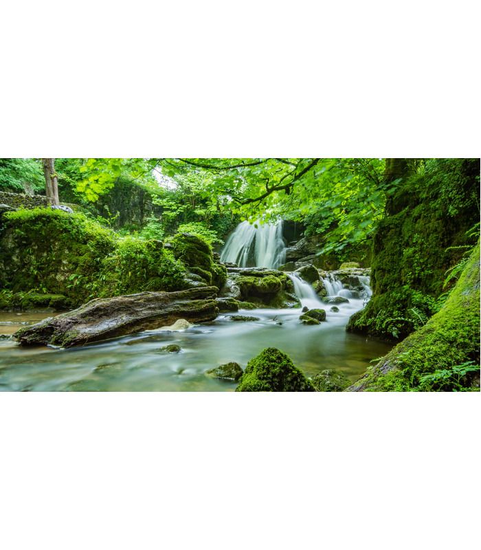 Парфюмерная вода для мужчин Tesori d'Oriente Kashmir Sandalwood & Vetiver 100 мл от Tesori d’Oriente в Мужская парфюмерия