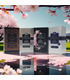 Для тела: Парфюмированное твердое крем-мыло Tesori d'Oriente Chinese Orchid 125 г от Tesori d’Oriente в Уход за телом Уход за...